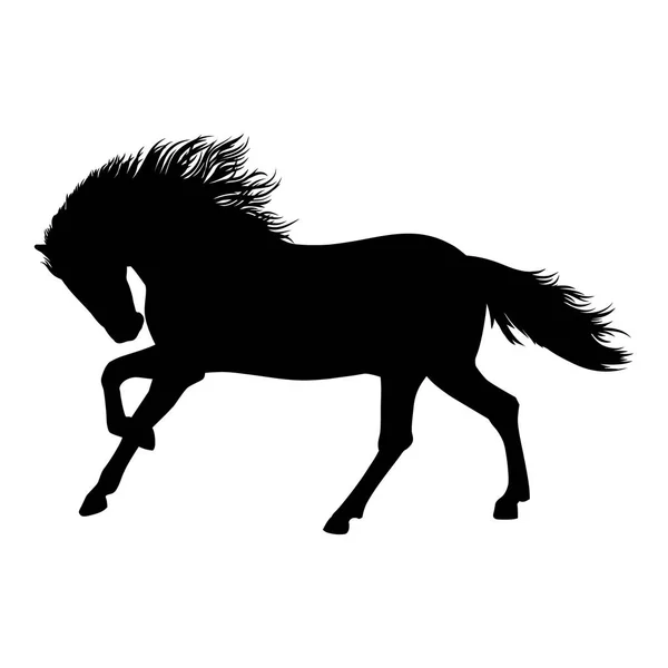 马黑色独立剪影 向量例证 美丽的赛马 — 图库矢量图片