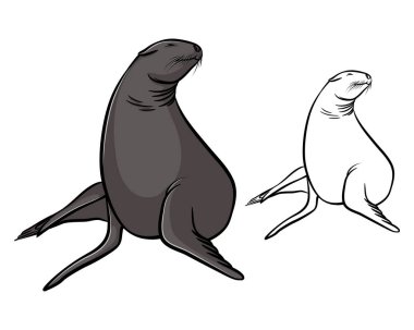 Phoca vektör küçük resim hisse senedi vektör