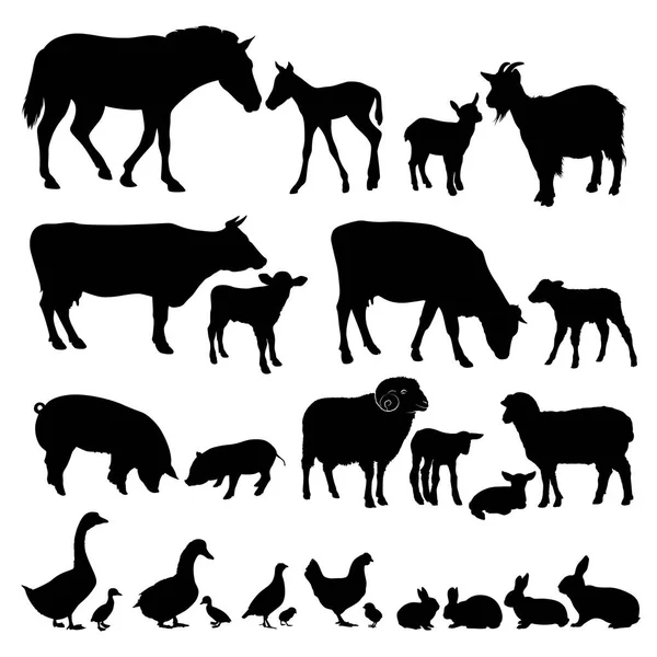 一套家养动物的剪影 矢量插图 — 图库矢量图片