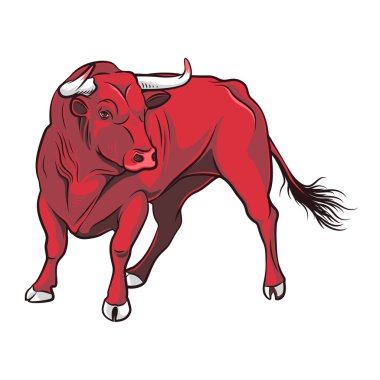 Vector Red bull. Illustration on a white background. Corrida bull. Toro clipart