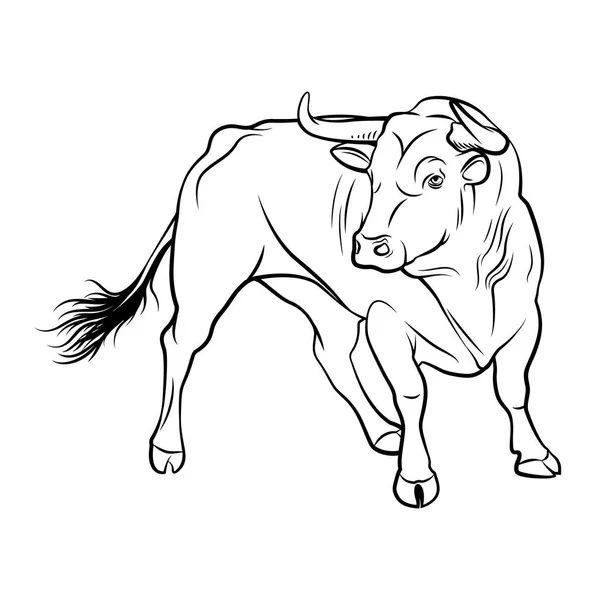 Vector Bull Een Overzicht Illustratie Een Witte Achtergrond Corrida Bull — Stockvector