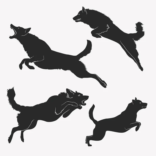 Köpek atlama. Köpekler atlama kümesi. Etkin köpekler. Kötü köpek. Vektör çizim.