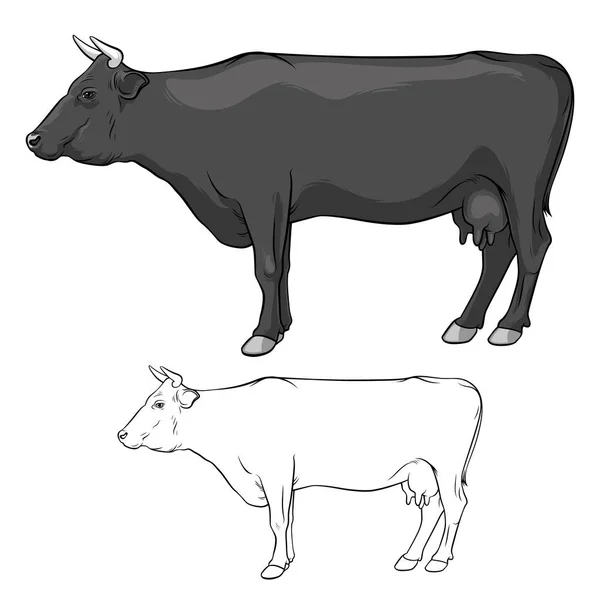Czarna Krowa Rogami Krowa Linie Krowa Białym Tle Wektor — Wektor stockowy