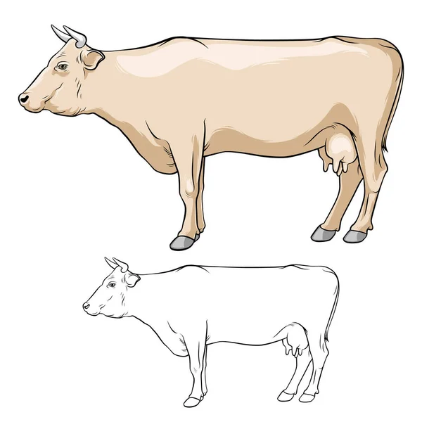 Μπεζ Αγελάδα Κέρατα Αγελάδα Μεταλλεύματος Αγελάδα Γραμμές Αγελάδα Άσπρο Φόντο — Διανυσματικό Αρχείο