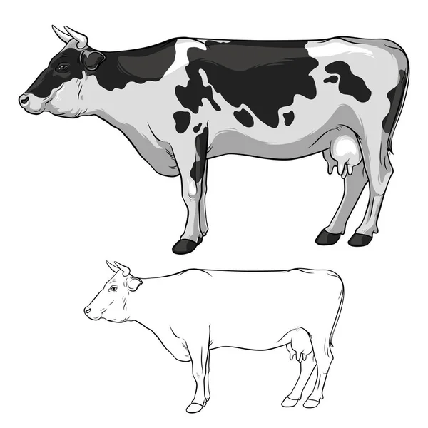 Μαύρο Και Άσπρο Αγελάδα Κέρατα Αγελάδα Γραμμές Αγελάδα Άσπρο Φόντο — Διανυσματικό Αρχείο