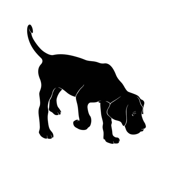 Cão Está Cheirar Cão Raça Cane Corso Ouvir Cheiro Ilustração — Vetor de Stock