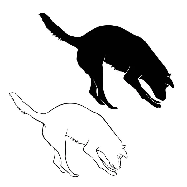 Köpek dolanıyor. Köpek doğurmak Cane Corso koku dinlemek olacak. Vektör çizim.