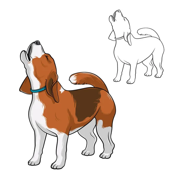 Ordító Kutya Kutya Hogy Énekel Fajta Beagle — Stock Vector