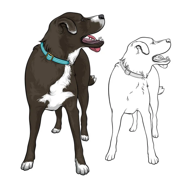 Een Toegewijde Hond Kijkt Naar Eigenaar Hond Met Kraag Vectorillustratie — Stockvector