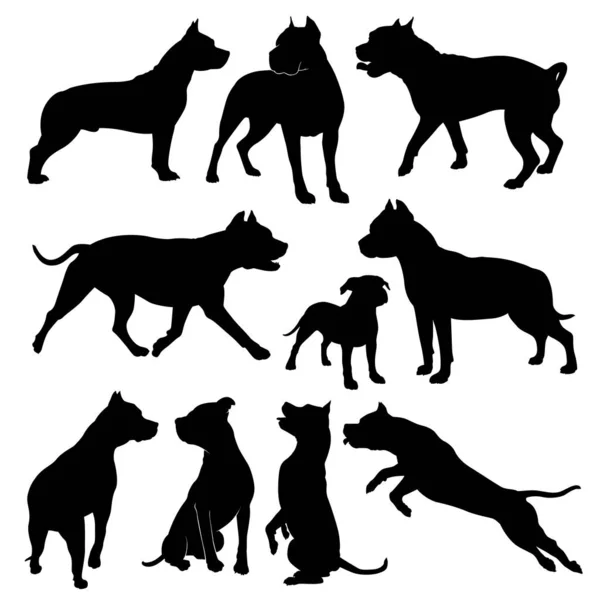 Staffordshire Terriër Vector Silhouet Van Een Hond Een Witte Achtergrond — Stockvector