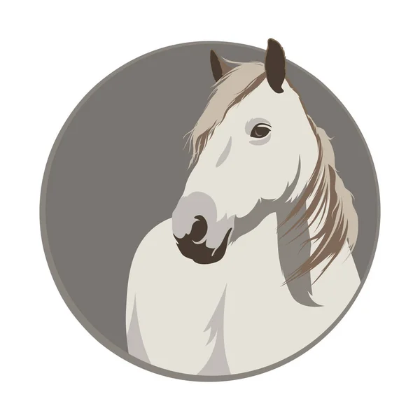 白马在一圈 马标志 马的矢量插图 — 图库矢量图片