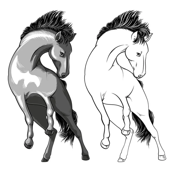 Caballo Salvaje Caballo Escala Grises Patea Domar Caballo Ilustración Vectorial — Archivo Imágenes Vectoriales