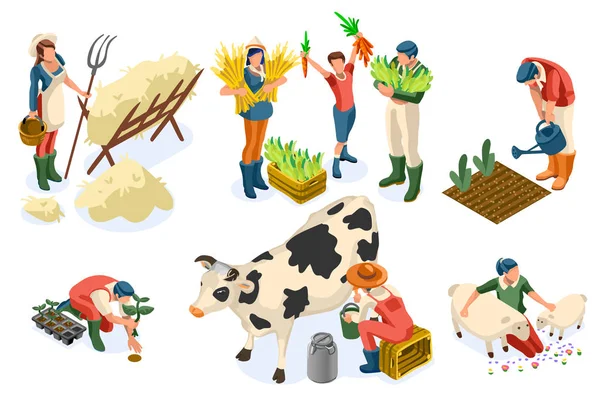 Set Farmer Agricultural Worker — Stock Vector