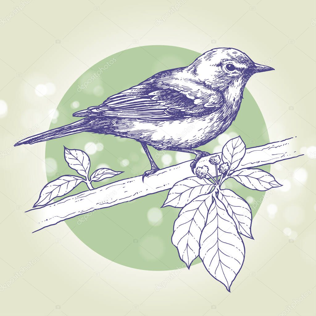 Bird perched on a branch, Ink drawing, Hand drawn illustration, Vector