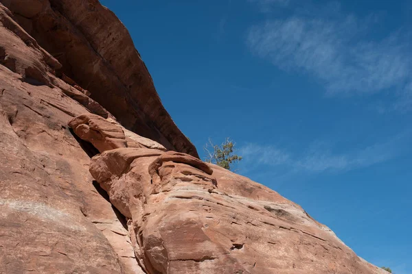 Colorado Ulusal Anıtı Nda Saddlehorn Düzeni Nde Kırmızı Kum Taşı — Stok fotoğraf