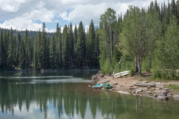 Bosque Orilla Lago Verano Oeste Colorado — Foto de Stock