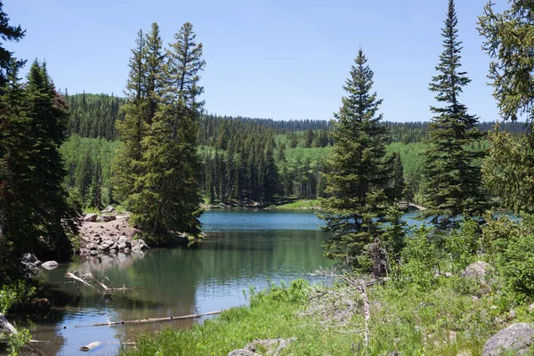 Summer Lake Western Colorado — Stock Photo, Image