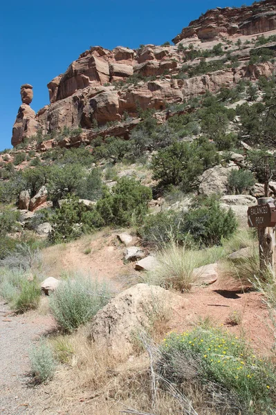 Colorado Ulusal Anıtı Nda Dengeli Kaya Bakış Açısı — Stok fotoğraf