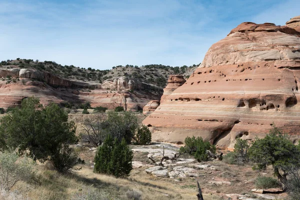 Canyon Árido Oeste Colorado — Fotografia de Stock