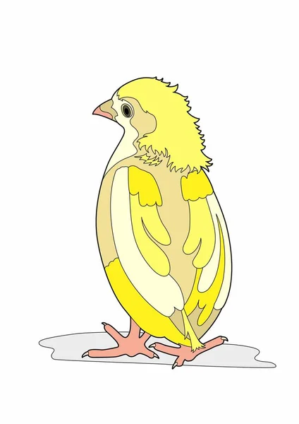 Vector Illustratie Van Een Gele Vogel Bestand Eps — Stockvector