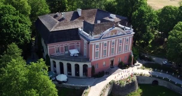 Kurozweki Palac Popielow Kraina Bizonow Polska Popiel Palace Poland Kurozweki — 비디오