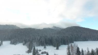 Zakopane kış Polonya Tatra Dağları. Hava dron video 4k