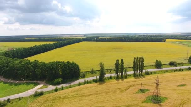 Панорамный вид с воздуха на поля и луга — стоковое видео