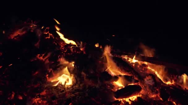 Brandende kolen in de open haard in de night op een donkere achtergrond — Stockvideo