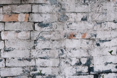 kırmızı tuğla duvar eski beyaz boyalı