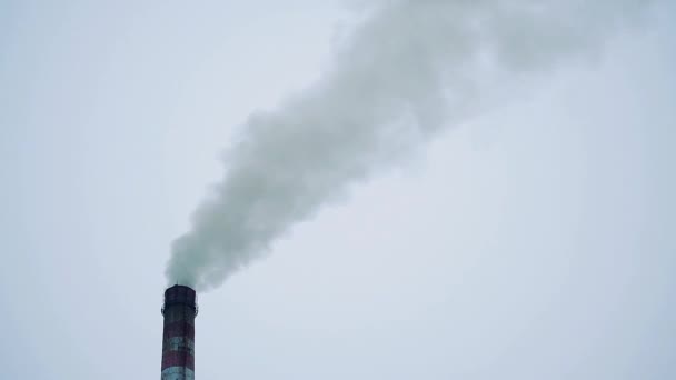 Rök från ett stort rör av ett värmekraftverk mot en grå grumlig himmel. Industriområde — Stockvideo