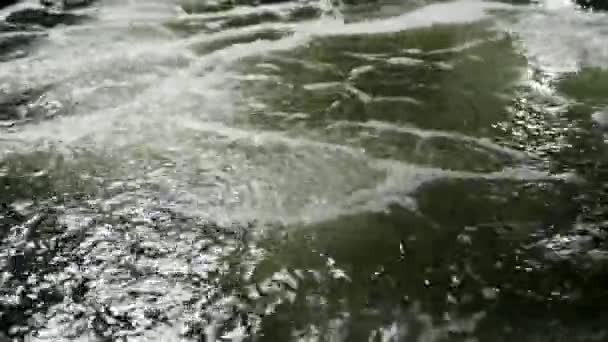Beluchting van garnalen zwembad water. Luchtbellen stijgen. Garnalen boerderij. Close-up fotograferen. — Stockvideo