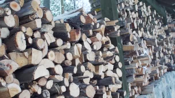 Leña Apilada Para Chimenea Bosque Invierno — Vídeos de Stock