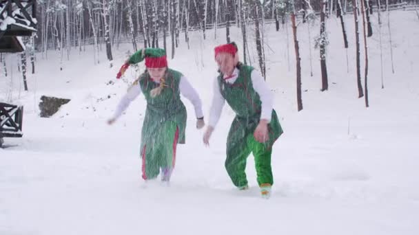 有趣的精灵们喜欢把新雪扔上来 圣诞节前圣诞老人的住所 — 图库视频影像