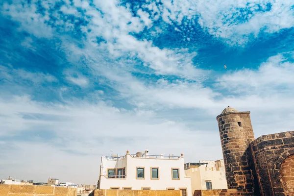 Seagulls in the blue sky with clouds over the old city in Morocco. Medina Essaouira.