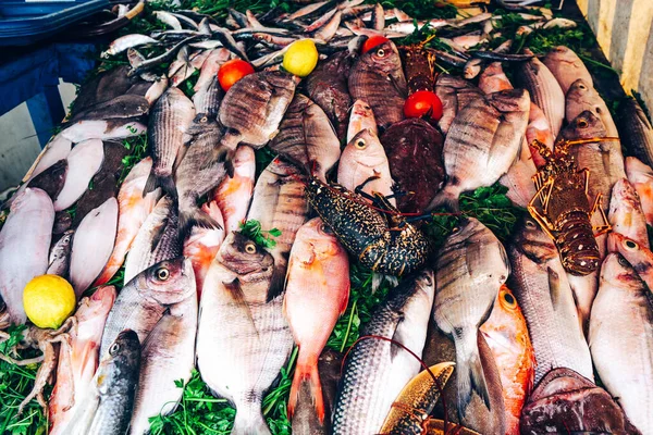 Fresh seafood in the market. Colorful ocean fish with lobsters