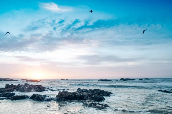 Colorful sunset on the sea with a rocky shore. Seagulls on a background of blue sky with clouds
