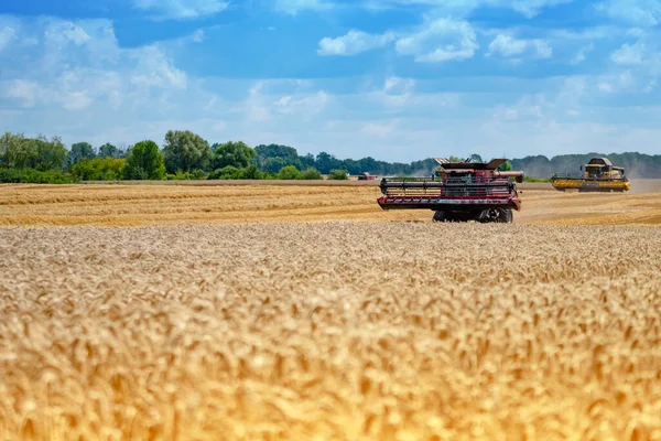 Maskin Høsting Hvetekorn Åkeren Gule Spisebånd Hvete Mot Himmelen – stockfoto