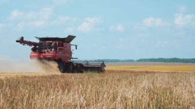VINNYTSIA, UKRAINE - 19 Temmuz 2020: Modern makine hasatçıları buğday hasat ediyorlar. Sarı buğday tarlası ve bulutlu mavi bir gökyüzü..