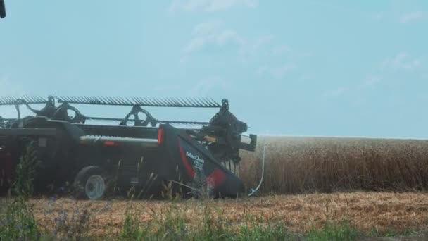 Vinnytsia Ukraine July 2020 Combine Mower Rotation Wheat Harvest Begins — Stock Video