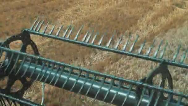 Hasat Biçici Mekanizması Döner Buğday Kulaklarını Keser Taksiden Görüntüyü Görüntüle — Stok video