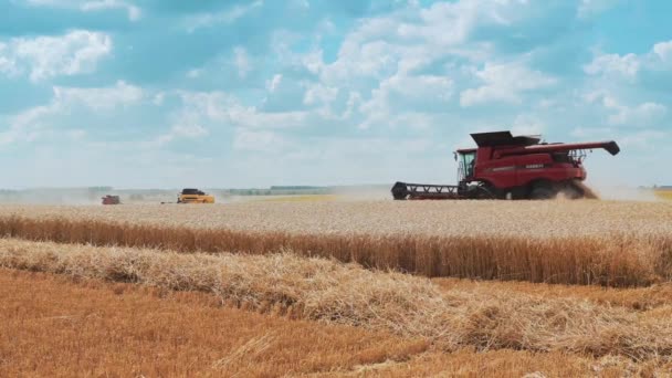 Vinnytsia Ucrania Julio 2020 Grandes Cosechadoras Modernas Cosechan Trigo Campo — Vídeos de Stock