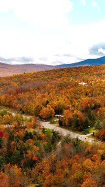 Sonbaharda günbatımında alçak bulutlarda güzel turuncu ormanlardaki hava manzaralı yol. Yol kenarlı renkli bir manzara. Dikey video.