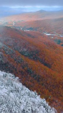 Ormanla kaplı dağ yamaçları. Parkta beyaz karla kaplı ve turuncu sonbahar ağaçları var. Güneş ışınlarıyla kaplı sisli bir manzara. Vadinin havadan görünüşü. Dikey video.