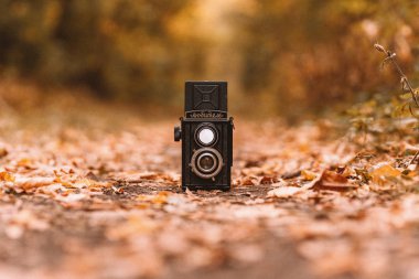 ormanda lomography kamera fotoğrafı