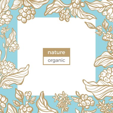 Basık kahve dal, yaprak, fasulye, çiçek vektör şablonu. Beyaz arka plan üzerinde doğa altın kartı. Çiçek sanat çizgili tasarım kroki vintage şablon bahar renk afiş, poster, afiş kopya alanı 