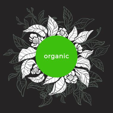 Vektör sanat çerçeve daire içinde. Gerçekçi şube çay bush yaprak, çiçek. Botanik çizim. Çiçek Doğa simgesi tasarım organik şablon, arka plan için. Gösterim amacıyla kart, menü, duvar kağıdı metin