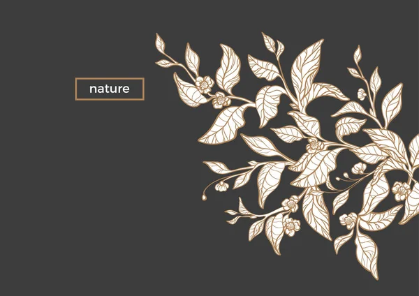 茶叶有机自然素描分支的矢量模板 逼真的叶子 邀请与花卉插图 简单卡片的传单与文本和金框架 白色背景艺术线条设计 — 图库矢量图片
