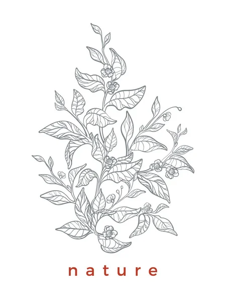 Bouquet Floral Branches Réalistes Avec Des Feuilles Des Fleurs Illustration — Image vectorielle