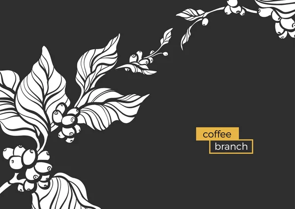 Шаблон Белой Веткой Кофейного Дерева Листья Натуральные Кофейные Зёрна Реалистичный — стоковый вектор