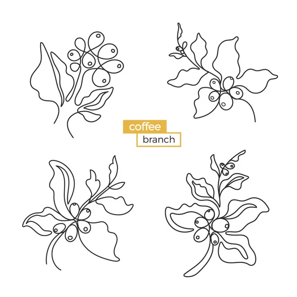 一套咖啡树枝 黑艺素描叶 天然豆白色背景有机食品 简单剪影 涂鸦形状生态饮料一行绘图矢量图标 — 图库矢量图片